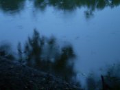 P8250084.jpg