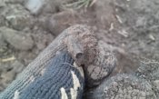 20161103_124248.jpg