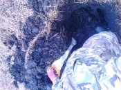 20161103-0005.jpeg