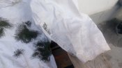 IMG_20161104_134201.jpg