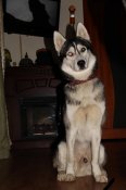 IMG_7273.JPG