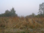 P9181862.JPG