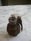 DSCN5390.jpg