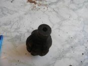 DSCN5398.jpg