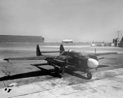 p-61_1.jpg