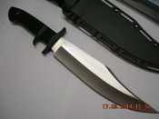 Изображение 981.jpg