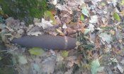 IMG_20161105_071128.jpg