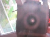 IMG_2084.JPG