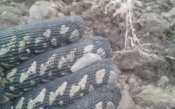 20161105_074234.jpg