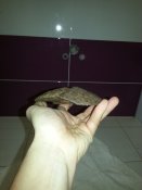 20161105_201819.jpg