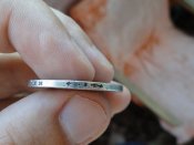 DSC02356 [1024x768] [800x600].JPG