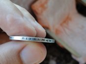 DSC02357 [1024x768] [800x600].JPG