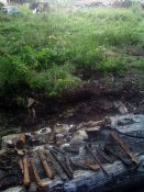 Копия SP_A3133.jpg