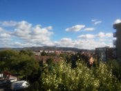 20161106_133013.jpg