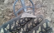 20161106_141559.jpg