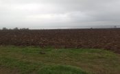 20161106_091146.jpg