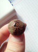 20161107_120537.jpg