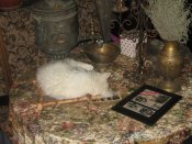 IMG_9642.JPG