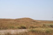 IMG_2726.JPG