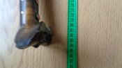 DSC01022.JPG