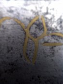 IMG-20161109-04760.jpg
