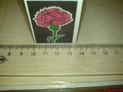 DSC00924.JPG