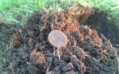 20161111_071554.jpg