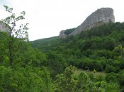 IMG_0600.jpg