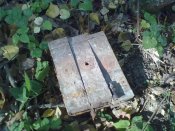 20092011006.jpg