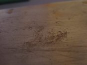 IMG_7246.JPG