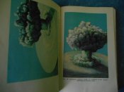 Ядерное оружие 005.jpg