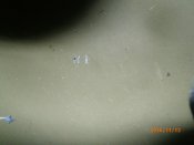 PB120046.JPG