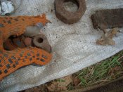 DSC01977.JPG
