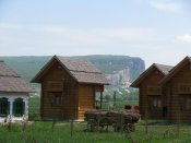 IMG_9185.jpg
