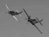 GG and Classic P-51.jpg