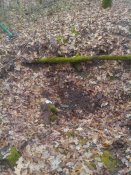 IMG_20161113_103447.jpg