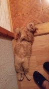 20160822_005207.jpg