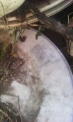 IMG_20161028_144621.jpg