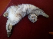 IMG_20161003_123921.jpg
