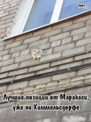 imageB6MCTYJN.jpg