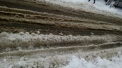 IMG_20161114_094938.jpg