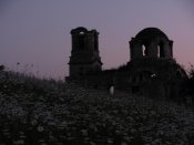 IMG_0989.jpg