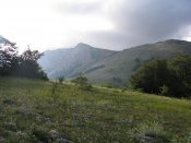 IMG_1465.jpg