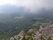 Блюм038.jpg