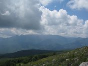 IMG_1548.jpg