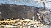 20161114_085843.jpg