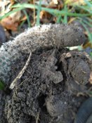 IMG_2016-11-12_094152.jpg