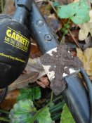 IMG_2016-11-12_094211.jpg