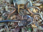 IMG_2016-11-12_143051.jpg