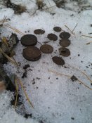 00b75e9f795b7872968bc555eefa2cb2f1daed3f2566ddacbf758a07cee470c9 — копия.jpg